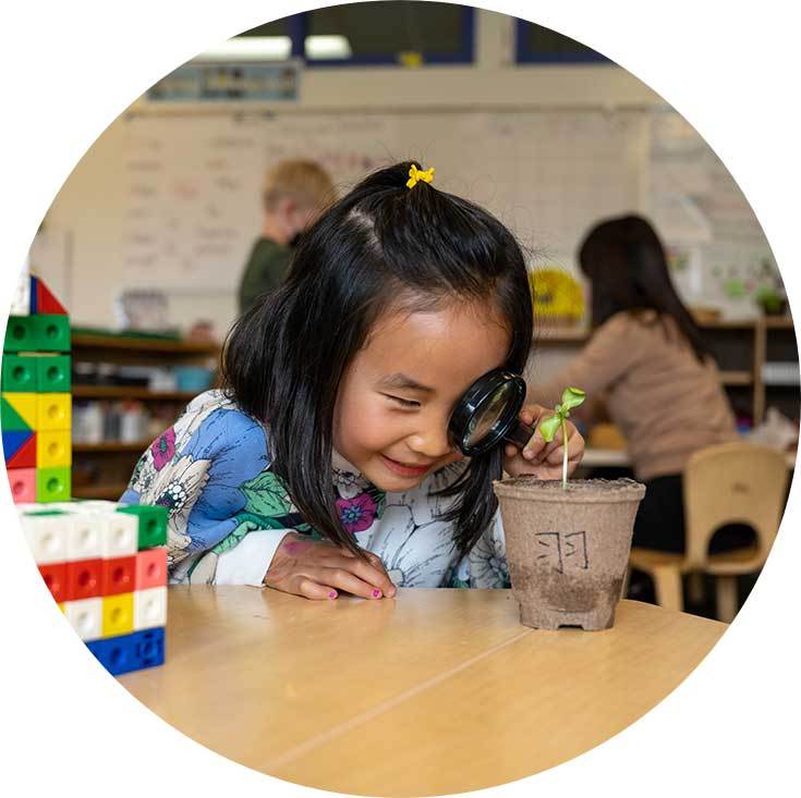 SVI elementary student observing a plant